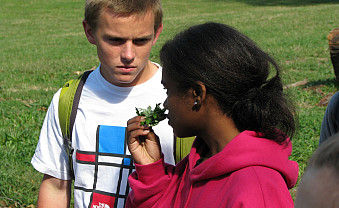 Smelling the edible plants of Prospect Park, New York, NY.