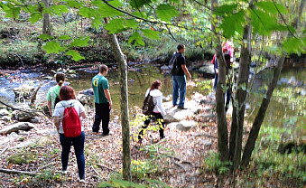 Seeing the creek up close.