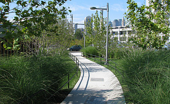 Brooklyn Bridge Park