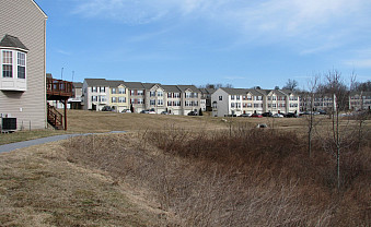 Meadow open space.