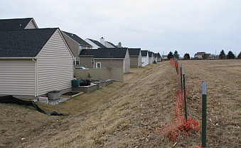 Border area with neighboring property.