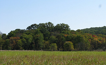 Wandering fields that were tiled historically to improve drainage.