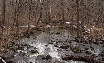 Tohickon Creek