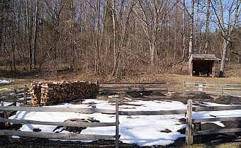 Charcoal-making demonstration site.