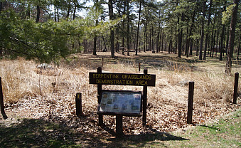 Visiting Nottingham County Park and the globally rare serpentine pine barrens of southeastern Pennsylvania and northwestern Maryland.