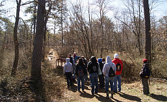 Hiking through a pine savanna.