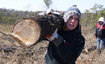 And carrying logs.