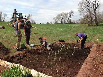 Students install wetland plants as part of a new rain garden in Hunsberger Woods.