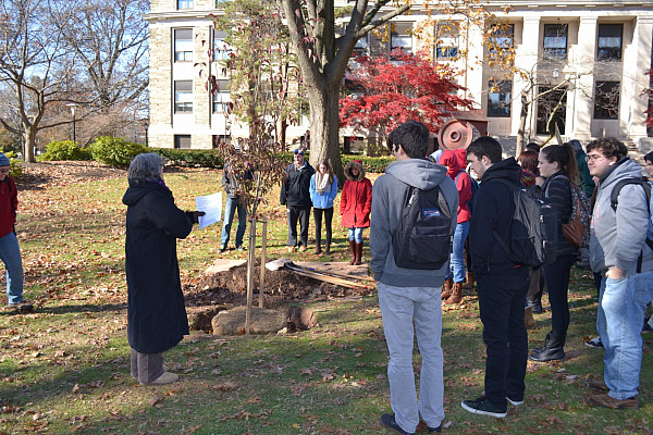 ﻿?Arbor Day Tree Planting