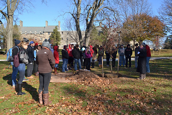 Arbor Day Tree Planting