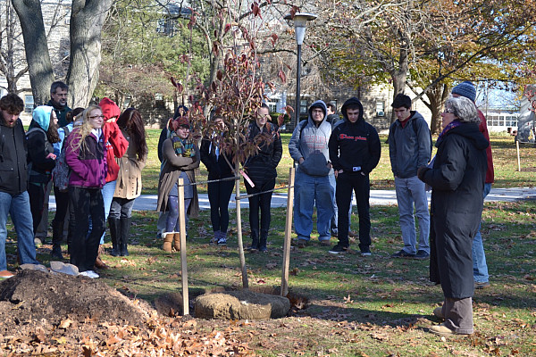 Arbor Day Tree Planting