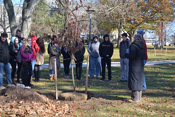 Arbor Day Tree Planting