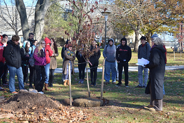 Arbor Day Tree Planting