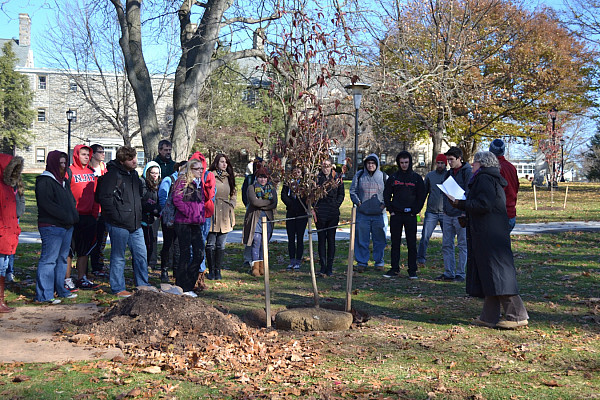 Arbor Day Tree Planting