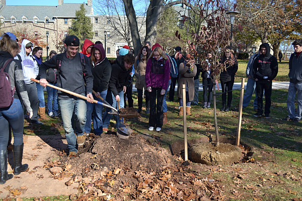 Arbor Day Tree Planting