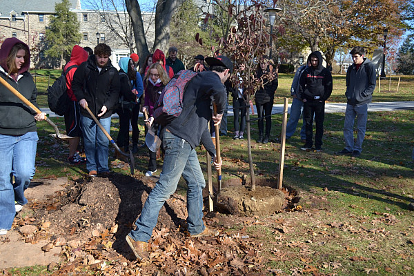 Arbor Day Tree Planting