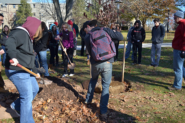 Arbor Day Tree Planting