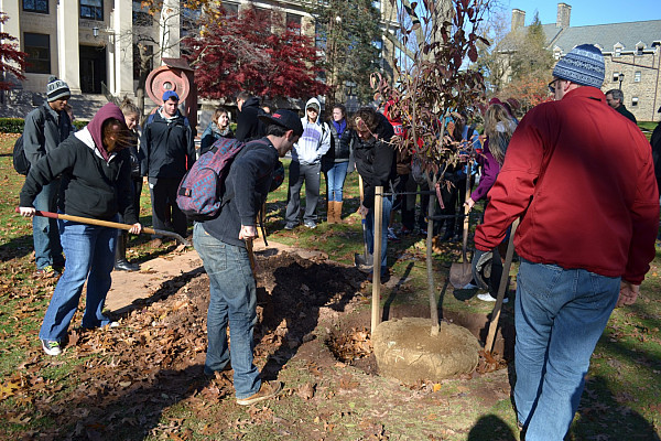 Arbor Day Tree Planting