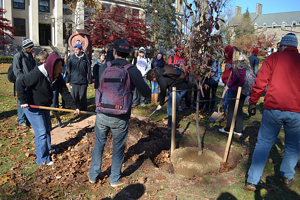 Arbor Day Tree Planting