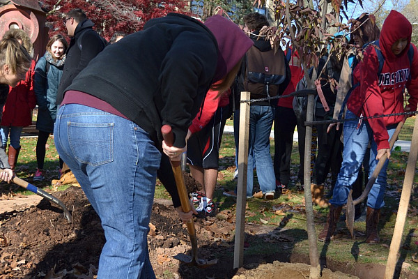 Arbor Day Tree Planting