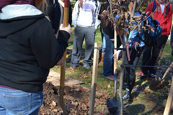 Arbor Day Tree Planting