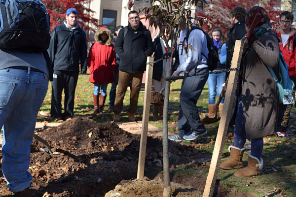 Arbor Day Tree Planting