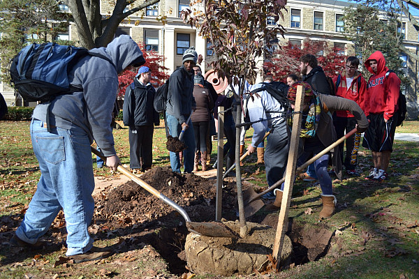 Arbor Day Tree Planting