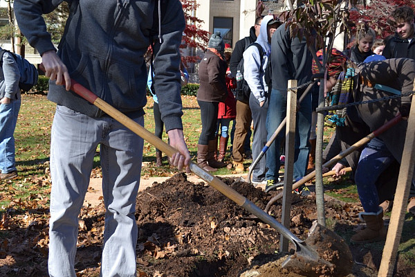 Arbor Day Tree Planting