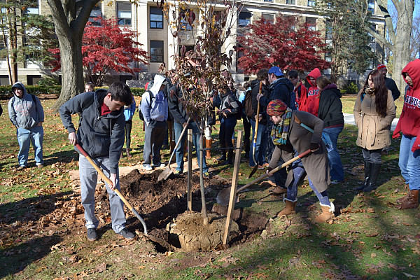 Arbor Day Tree Planting