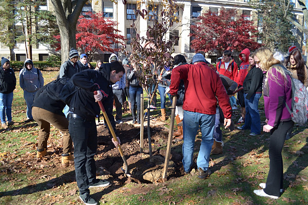 Arbor Day Tree Planting