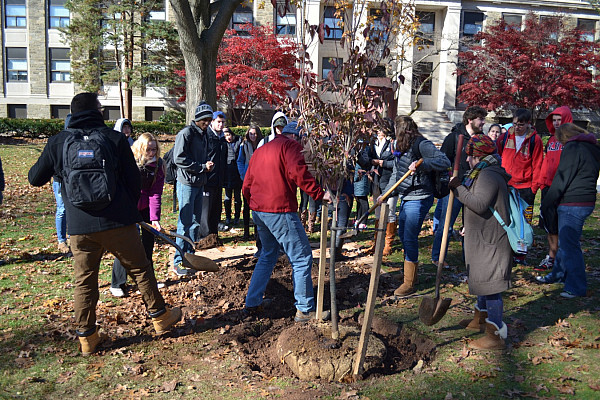 Arbor Day Tree Planting