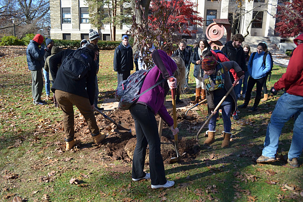 Arbor Day Tree Planting