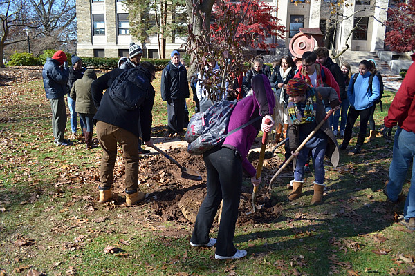 Arbor Day Tree Planting