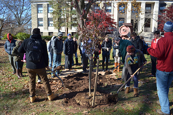 Arbor Day Tree Planting