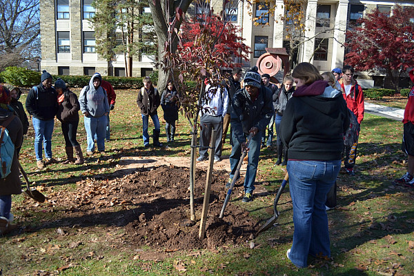 Arbor Day Tree Planting