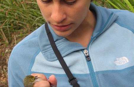 Regan Dohm holding a recently mist-netted white-eyed vireo (Yucatan Peninsula, Mexico)