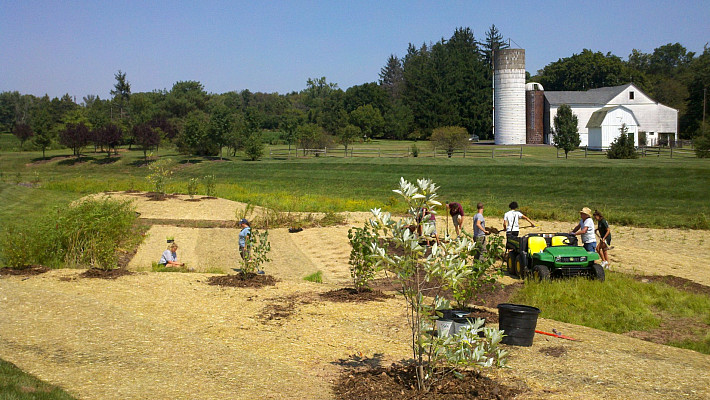 Helping plant wetland species