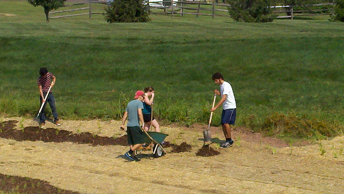 Delivering and mulching newly planted individuals