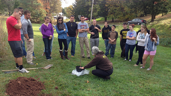 Learning the basics of proper tree planting