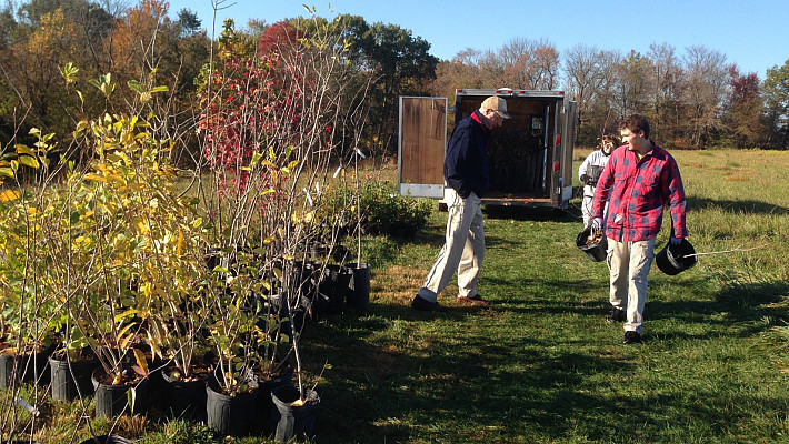 Unloading our second delivery of trees