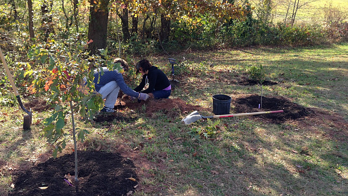 Mulching