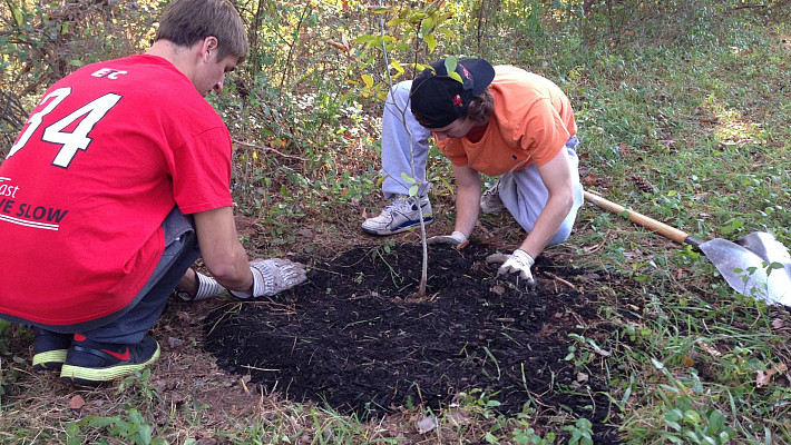 And more mulching