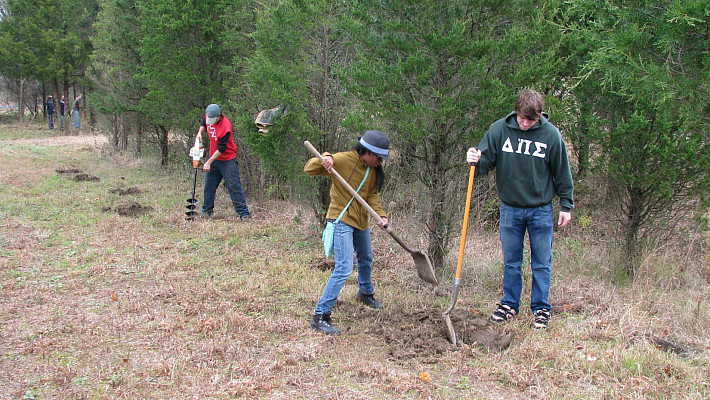 Digging a hole for another tree.