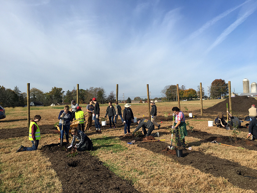 Ursinus students plant the first phase of the food forest, October 26, 2020.