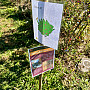 Station stop for Friends Select School third grade visitors to the Food Forest.