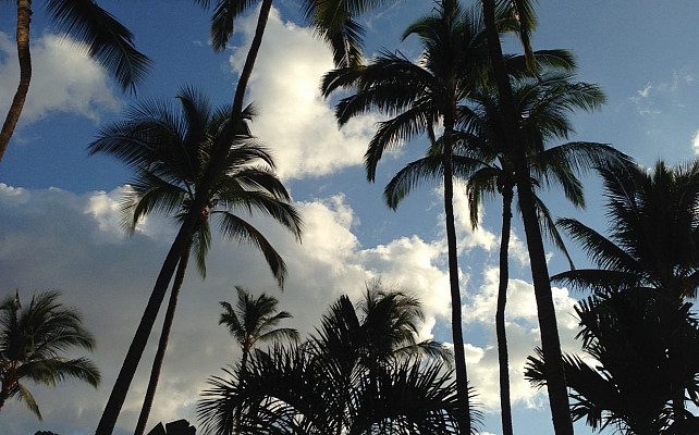 Research students attended a Nuclear Physics conference in Hawaii.