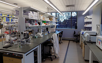 The HaMM Lab