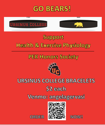 GO BEARS Wrist Band Bracelets Fund Raiser