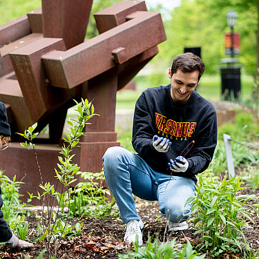 Sprint 2023 Campus gardening