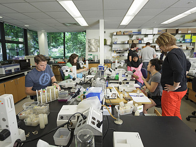 Summer Fellows Lab